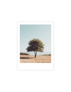 Affiche 30x40 Stand Tall - Pickmotion