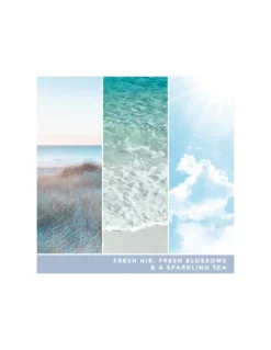 Yankee Candle Air D'océan - Moyenne Bougie 2 Mèches 7 Yankee Candle Air D'océan - Moyenne Bougie 2 Mèches -Magasin De Bougies Parfumées Pour La Maison air d ocean moyenne bougie 2 meches 2