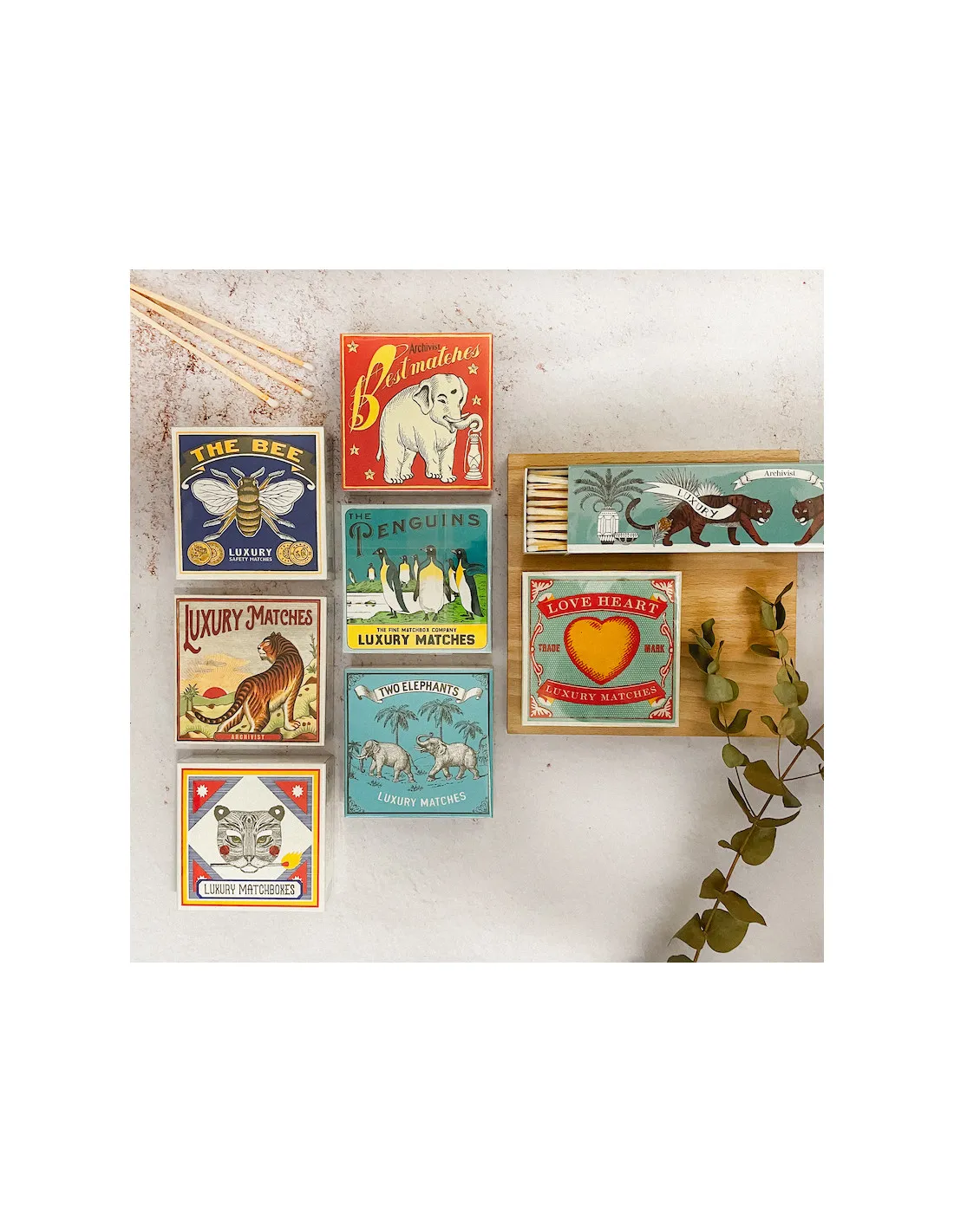 Allumettes Best Match - The Archivist 5 Allumettes Best Match - The Archivist – Image 3