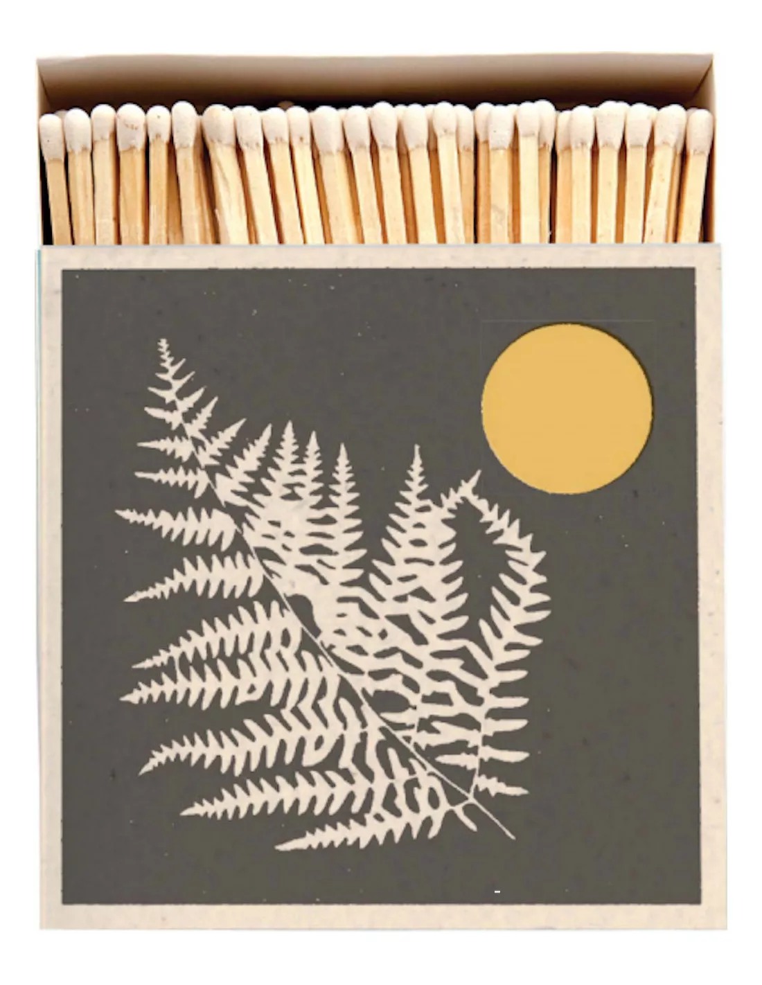 Allumettes Fern - The Archivist 3 Allumettes Fern - The Archivist