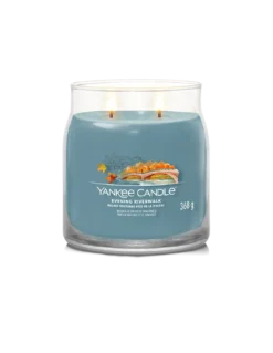 Yankee Candle Balade Nocturne Près De La Rivière - Moyenne Bougie 2 Mèches -Magasin De Bougies Parfumées Pour La Maison balade nocturne pres de la riviere moyenne bougie 2 meches 2