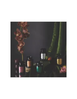 Baltic Amber - Apothecary Black Candle Paddywax -Magasin De Bougies Parfumées Pour La Maison baltic amber apothecary black candle paddywax 2