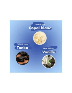 Bloom Blue Bird - 40 Bâtons D'encens Copal, Tonka Et Vanille -Magasin De Bougies Parfumées Pour La Maison blue bird 40 batons d encens copal tonka et vanille 3