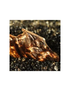 Bougie Bois De Oud AGAR - Apotheca 9 Bougie Bois De Oud AGAR - Apotheca -Magasin De Bougies Parfumées Pour La Maison bougie bois de oud agar apotheca 3