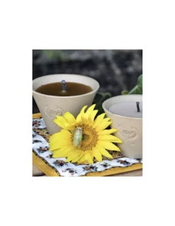 Bougie Extérieure Cire Blanche – Citronnelle Bio En Pot Des Landes -Magasin De Bougies Parfumées Pour La Maison bougie exterieure cire blanche citronnelle bio en pot des landes 2