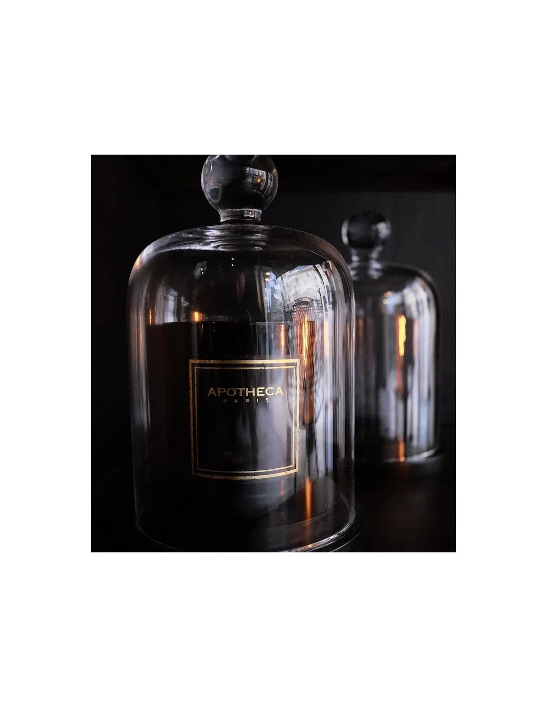 Bougie Fleur Blanche TUBEROSA - Apotheca 6 Bougie Fleur Blanche TUBEROSA - Apotheca – Image 4