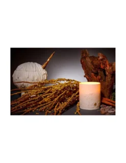 Bougie Hass Mojave Palm - L'Objet -Magasin De Bougies Parfumées Pour La Maison bougie hass mojave palm l objet 3