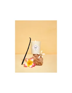 Bougie Monoï Des îles - 70 Gr - My Jolie Candle -Magasin De Bougies Parfumées Pour La Maison bougie monoi des iles 70 gr my jolie candle 1