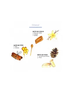 Bougie Nomad M - Oriental -Magasin De Bougies Parfumées Pour La Maison bougie nomad m oriental 4