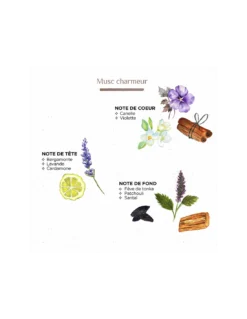 Bougie Tam Tam Strié Blanc Musc -Magasin De Bougies Parfumées Pour La Maison bougie tam tam strie blanc musc 4