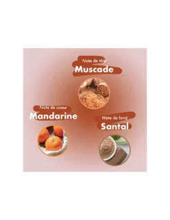 Bloom Bubble Shell - 40 Bâtons D'encens Mandarine, Muscade, Bois De Santal -Magasin De Bougies Parfumées Pour La Maison bubble shell 40 batons d encens mandarine muscade bois de santal 3