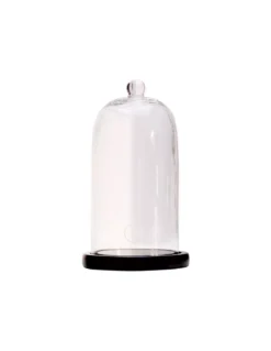 Cloche En Verre 20 Cm Avec Bouton Et Support