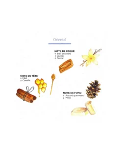 Diffuseur à Bâtonnets - Oriental 500 Ml -Magasin De Bougies Parfumées Pour La Maison diffuseur a batonnets oriental 500 ml 2