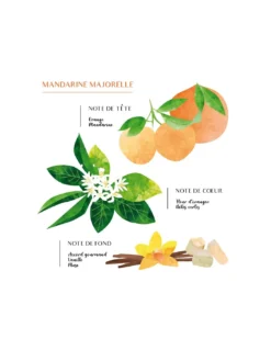 Diffuseur Parfumé - Mandarine Vanille 200ml 6 Diffuseur Parfumé - Mandarine Vanille 200ml -Magasin De Bougies Parfumées Pour La Maison diffuseur parfume mandarine vanille 200ml 1
