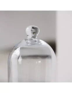 Meraki Grande Cloche En Verre Avec Bouton -Magasin De Bougies Parfumées Pour La Maison grande cloche en verre avec bouton 2