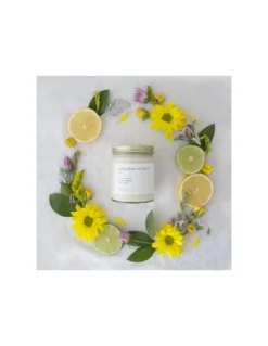 Japanese Citrus - Brooklyn Candle Studio -Magasin De Bougies Parfumées Pour La Maison japanese citrus brooklyn candle studio 5