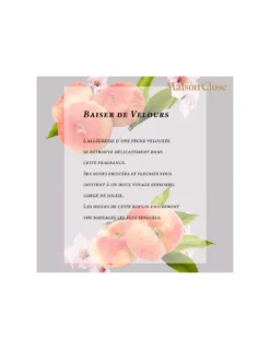 Maison Close Pêche De Vigne - BOUGIE DE MASSAGE -Magasin De Bougies Parfumées Pour La Maison peche de vigne bougie de massage 3