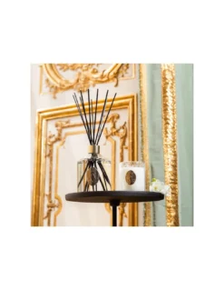 Recharge 500 Ml Diffuseur Trianon - Château De Versailles -Magasin De Bougies Parfumées Pour La Maison recharge 500 ml diffuseur trianon chateau de versailles 3