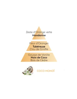 Recharge Diffuseur Voiture - Coco/Monoï 9 Recharge Diffuseur Voiture - Coco/Monoï -Magasin De Bougies Parfumées Pour La Maison recharge diffuseur voiture cocomonoi 3