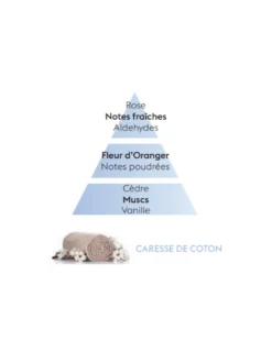 Recharge Diffuseur Voiture - Coton 7 Recharge Diffuseur Voiture - Coton -Magasin De Bougies Parfumées Pour La Maison recharge diffuseur voiture coton 2