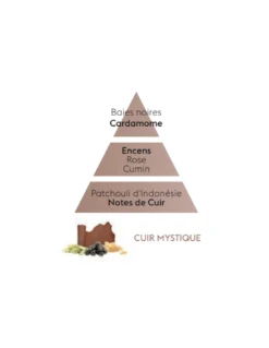 Recharge Diffuseur Voiture - Cuir Mystique 9 Recharge Diffuseur Voiture - Cuir Mystique -Magasin De Bougies Parfumées Pour La Maison recharge diffuseur voiture cuir mystique 3