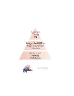 Recharge Diffuseur Voiture - Liliflora -Magasin De Bougies Parfumées Pour La Maison recharge diffuseur voiture liliflora 3