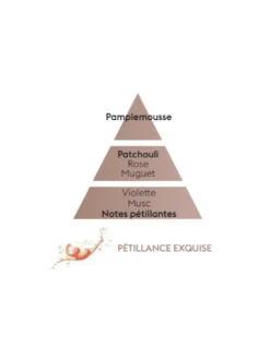 Recharge Diffuseur Voiture - Pétillance Exquise -Magasin De Bougies Parfumées Pour La Maison recharge diffuseur voiture petillance exquise 2