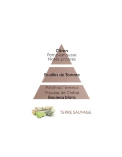 Recharge Diffuseur Voiture - Terre Sauvage -Magasin De Bougies Parfumées Pour La Maison recharge diffuseur voiture terre sauvage 2