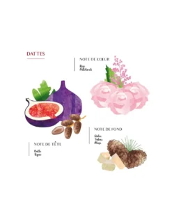 Recharge Parfumée Diffuseur Capilla Spray Dattes -Magasin De Bougies Parfumées Pour La Maison recharge parfumee diffuseur capilla spray dattes 3