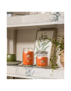 Yankee Candle Roulé Cannelle Et Citrouille - Grande Jarre 2 Mèches -Magasin De Bougies Parfumées Pour La Maison roule cannelle et citrouille grande jarre 2 meches 4