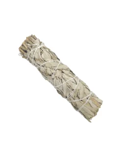 Sauge Blanche - Bouquet 16cm -Magasin De Bougies Parfumées Pour La Maison sauge blanche bouquet 16cm 3