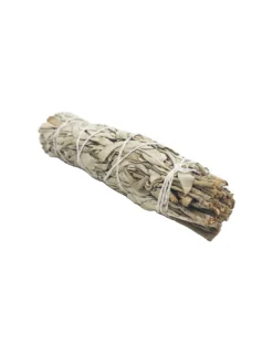 Sauge Blanche - Bouquet 16cm -Magasin De Bougies Parfumées Pour La Maison sauge blanche bouquet 16cm 4