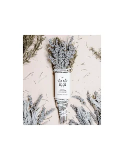 Sollicitude - Daterra Rituals