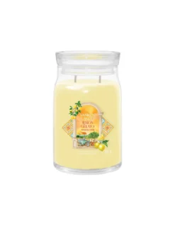 Yankee Candle Sorbet Au Citron - Grande Jarre 2 Mèches