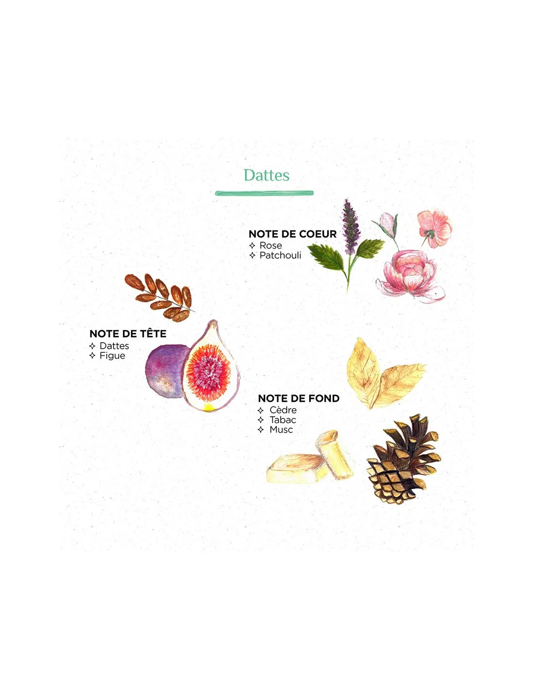 Spray D'ambiance Dattes - Côté Bougie 4 Spray D'ambiance Dattes - Côté Bougie – Image 2