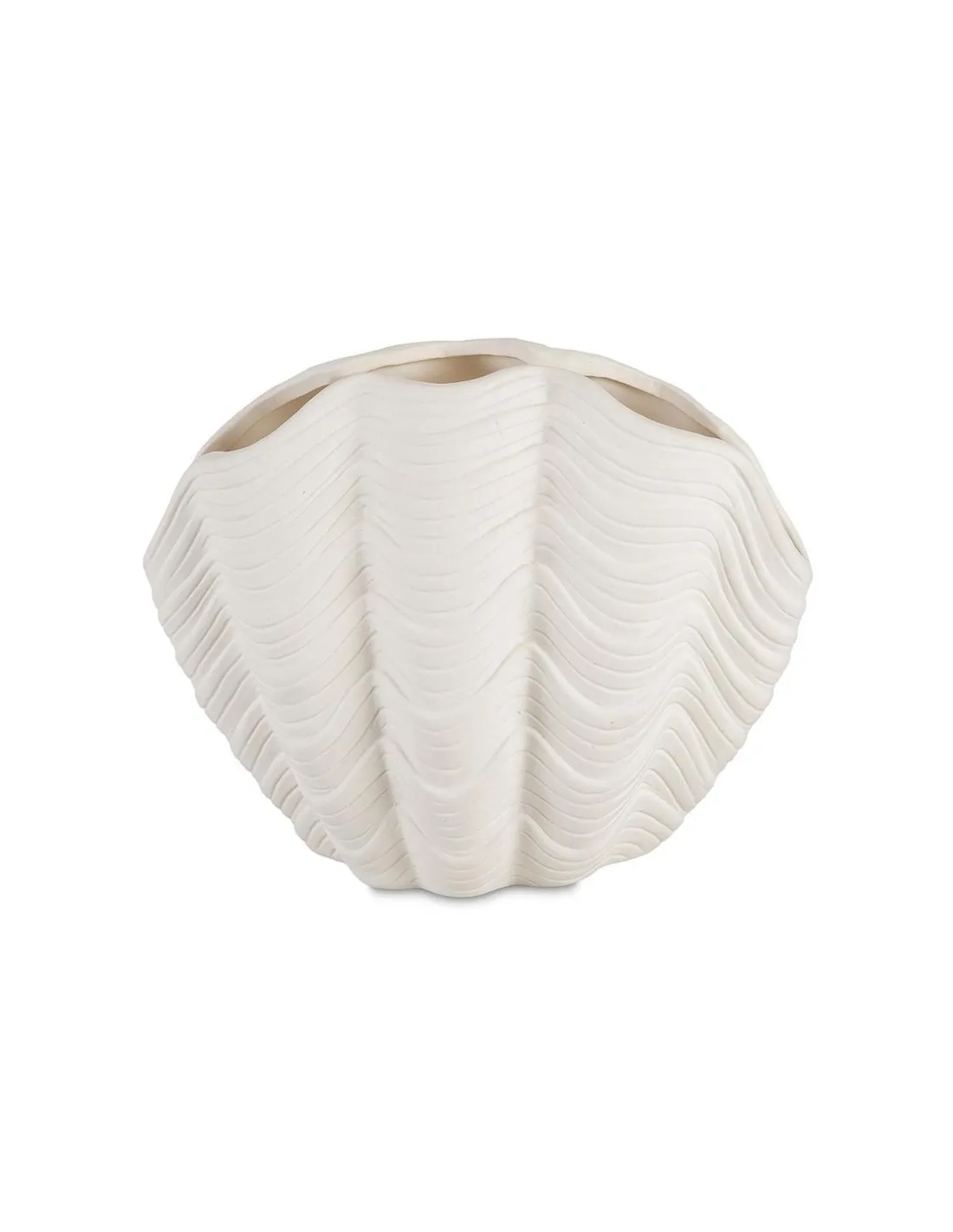 Vase Coquillage Bénitier - Andrea House 5 Vase Coquillage Bénitier - Andrea House – Image 3