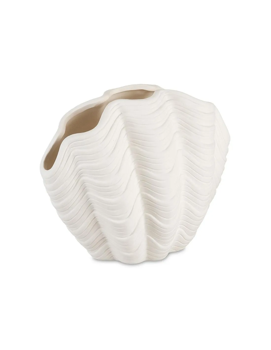 Vase Coquillage Bénitier - Andrea House 3 Vase Coquillage Bénitier - Andrea House