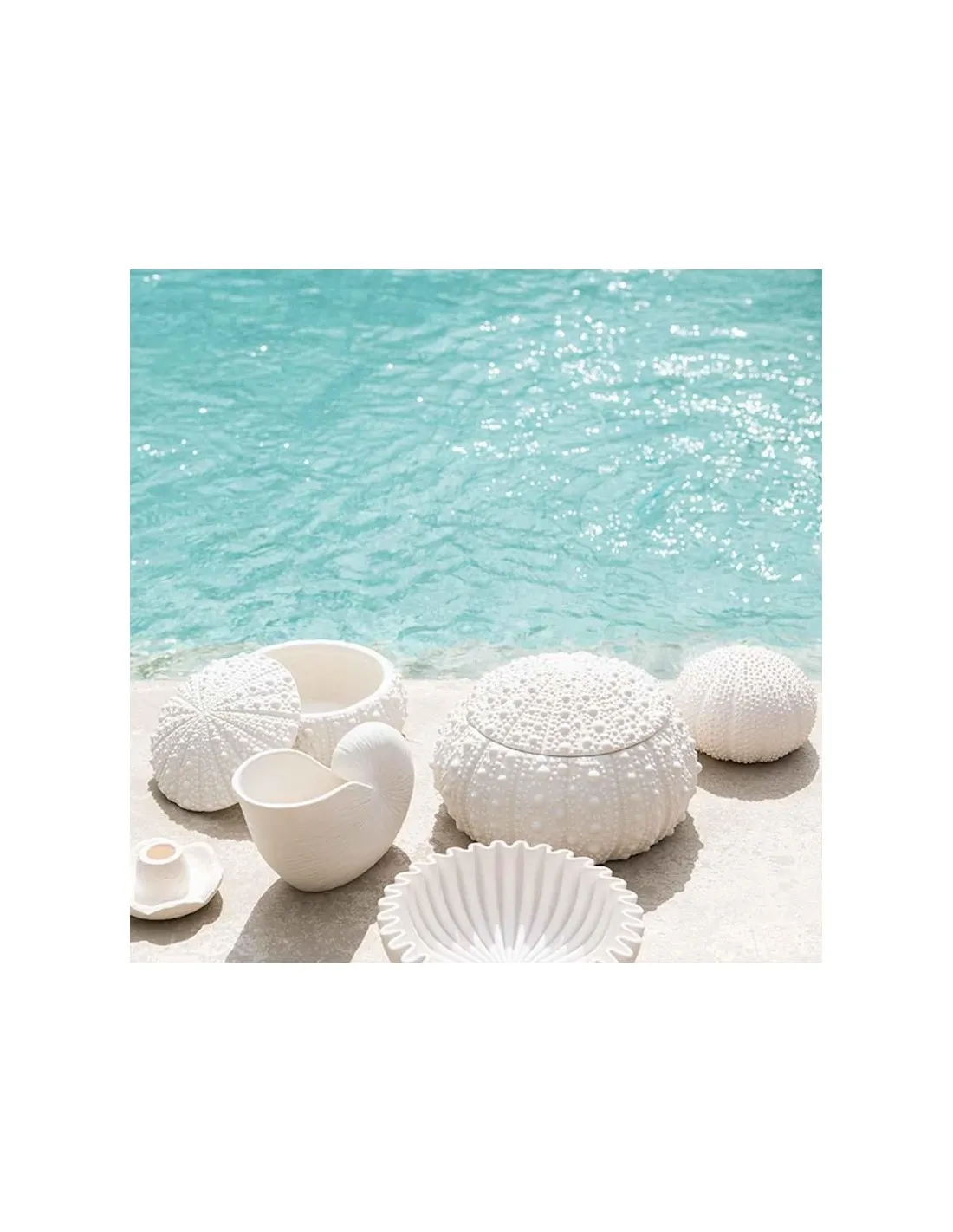 Vase Nautilus - Andrea House 4 Vase Nautilus - Andrea House – Image 2