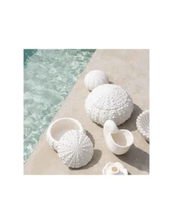 Vase Nautilus - Andrea House 9 Vase Nautilus - Andrea House -Magasin De Bougies Parfumées Pour La Maison vase nautilus andrea house 3